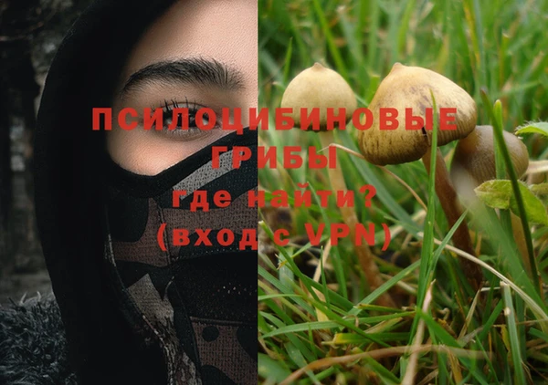марки lsd Абаза