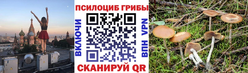 ОМГ ОМГ зеркало  Новое Девяткино  Галлюциногенные грибы MAGIC MUSHROOMS 